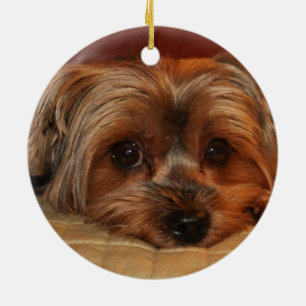 Niedlich Yorkshire Terrier Yorkie Dog Keramik Ornament