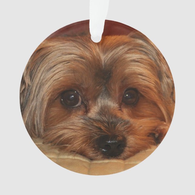 Niedlich Yorkshire Terrier Yorkie Dog Ornament (Vorderseite)