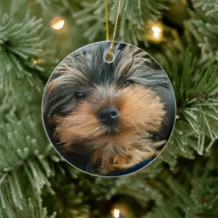 Niedlich Yorkshire Terrier Yorkie Puppy Dog Keramik Ornament