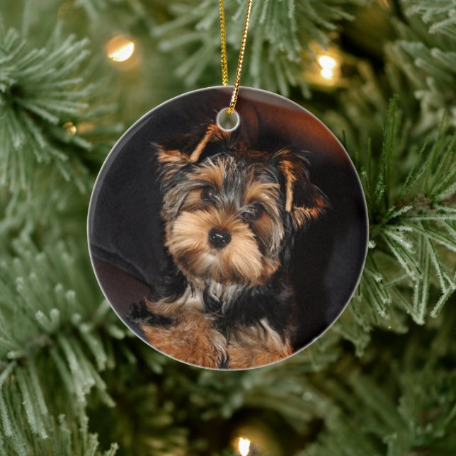 Niedlich Yorkshire Terrier Yorkie Puppy Dog Keramik Ornament (Baum)