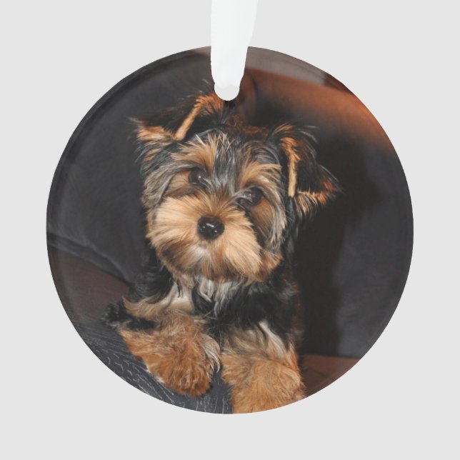 Niedlich Yorkshire Terrier Yorkie Puppy Dog Ornament (Vorderseite)