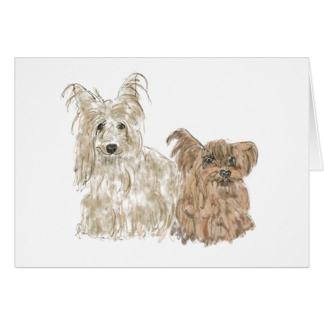 Niedlich Yorkshire Terriers Funny Yorks Tierart (Vorderseite (Horizontal))