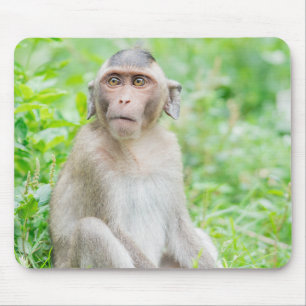 Niedlich Young Brown Spider Monkey Mousepad