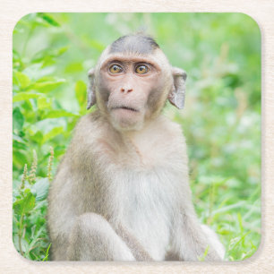 Niedlich Young Brown Spider Monkey Rechteckiger Pappuntersetzer