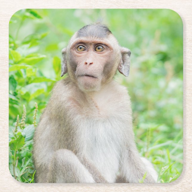 Niedlich Young Brown Spider Monkey Rechteckiger Pappuntersetzer (Vorderseite)