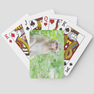 Niedlich Young Brown Spider Monkey Spielkarten