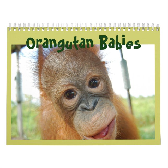 Niedliche Affen Kalender (Titelbild)