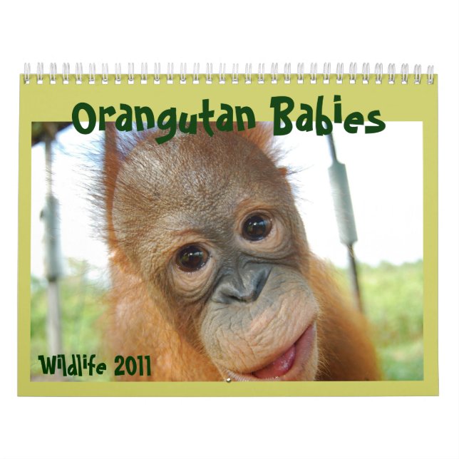 Niedliche Affen-wild lebende Tiere Kalender (Titelbild)