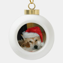 Niedliche akita in roter Weihnachtsmannmütze mit W