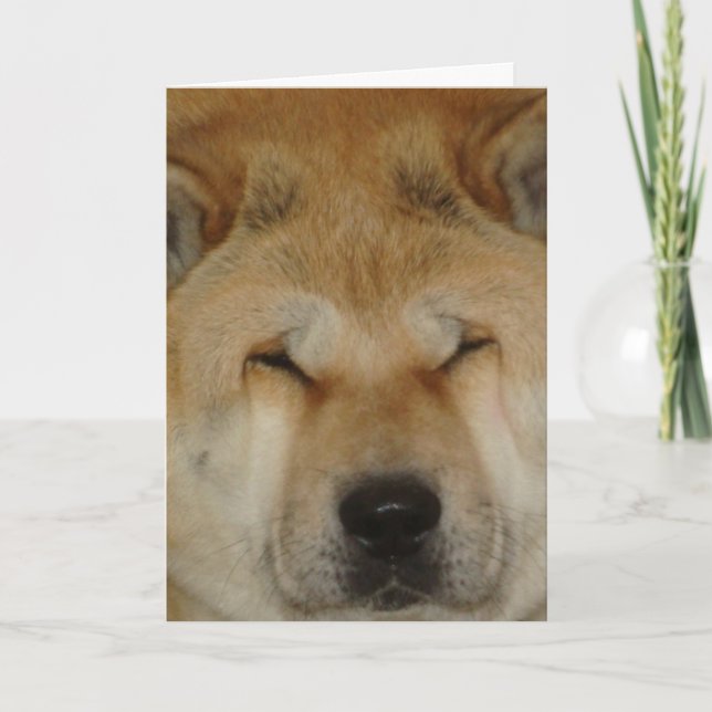niedliche akita lustige große liebevolle Gesichtfo Karte (Vorderseite)