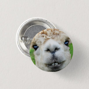 Niedliche Alpaca-Landschaft Button