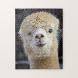 Niedliche Alpaca-Oberfläche