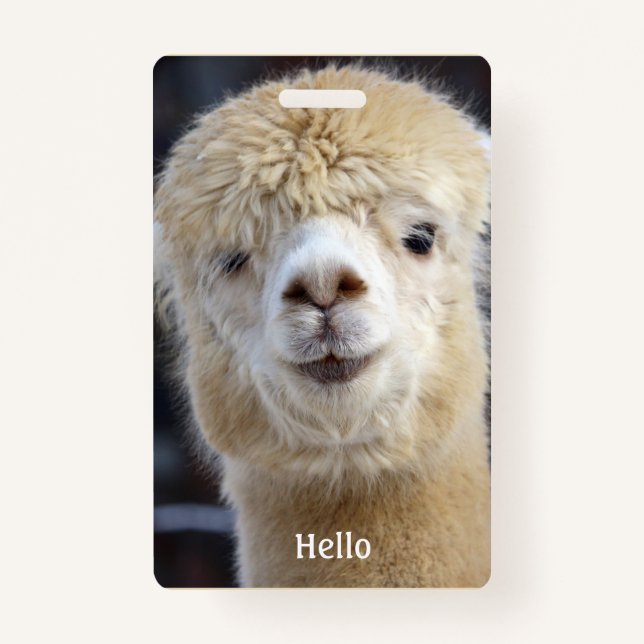 Niedliche Alpaca-Oberfläche Ausweis (Vorderseite)