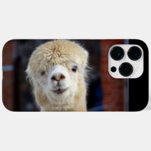 Niedliche Alpaca-Oberfläche