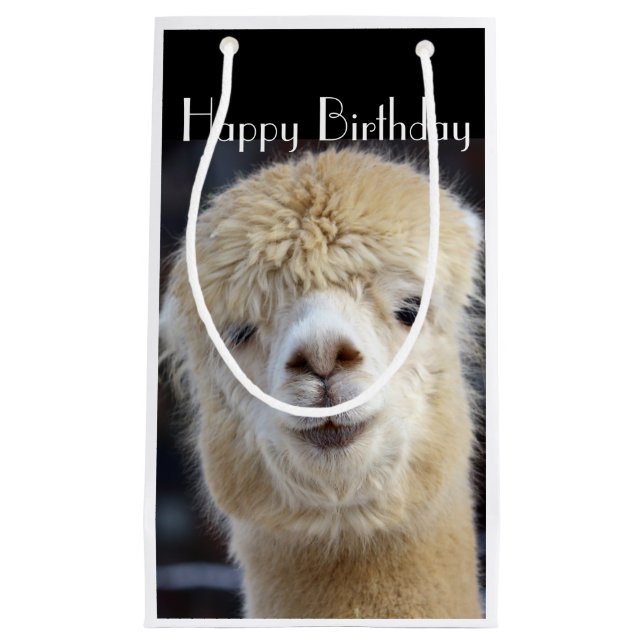 Niedliche Alpaca-Oberfläche Kleine Geschenktüte (Vorderseite)