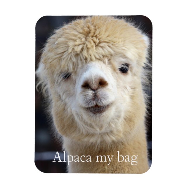 Niedliche Alpaca-Oberfläche Magnet (Vertikal)