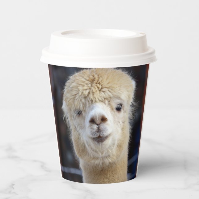 Niedliche Alpaca-Oberfläche Pappbecher (Vorderseite)