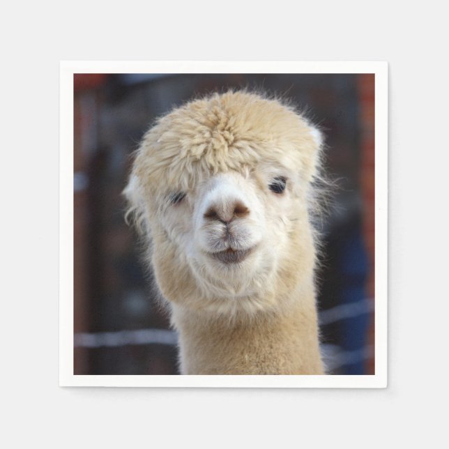 Niedliche Alpaca-Oberfläche Serviette (Vorderseite)