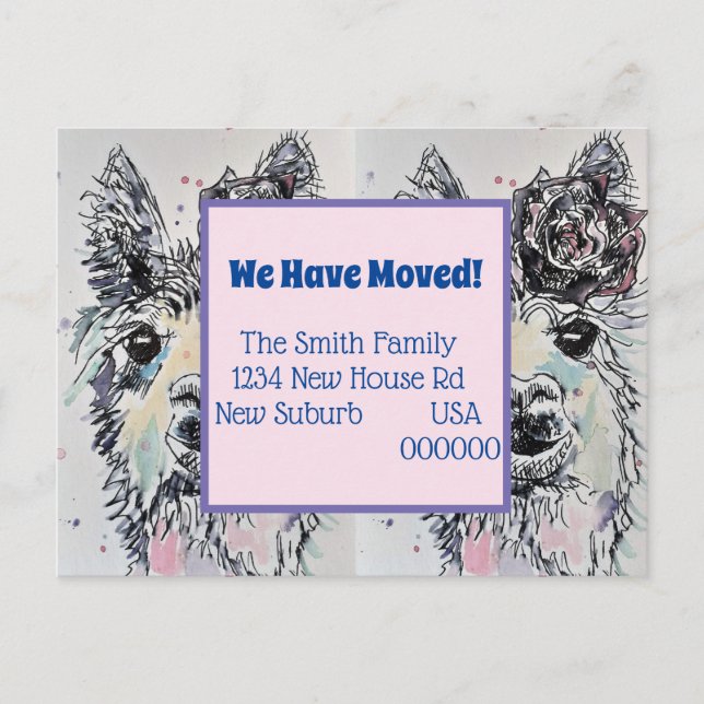 Niedliche Alpacca Llamma Neue Adresse Postkarte än (Vorderseite)
