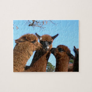 Niedliche Alpaka-Puzzlespiele mit Geschenkboxen