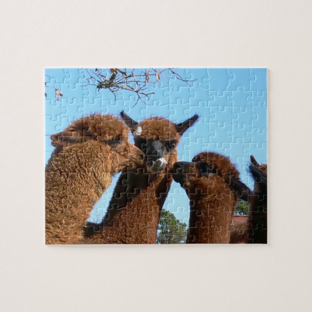 Niedliche Alpaka-Puzzlespiele mit Geschenkboxen (Horizontal)