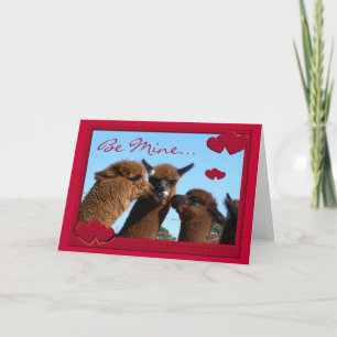 Niedliche Alpaka-Valentinstag-Gruß-Karte Feiertagskarte