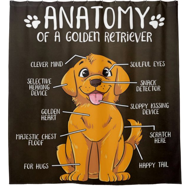 Niedliche Anatomie Golden Retriever Hund Lover Duschvorhang (Vorderseite)