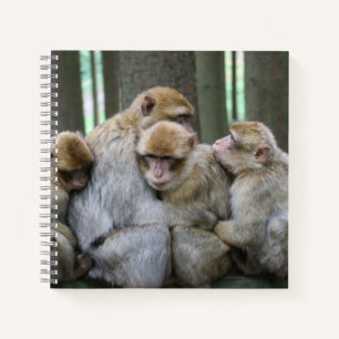 Niedliche Ape Family Group Umarmungsfotografie Notizbuch
