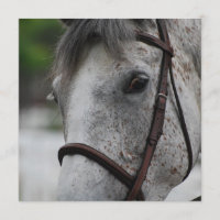Niedliche Appaloosa-Pferdeeinladungen