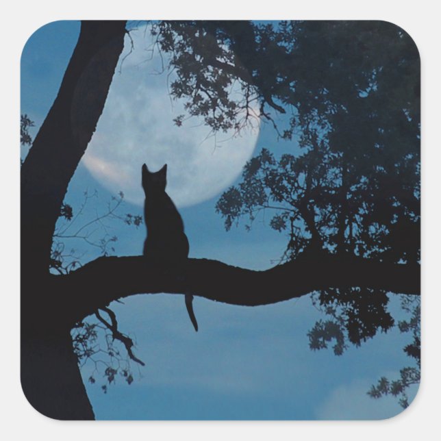 Niedliche Aufkleber für Katzen und Mond (Vorderseite)