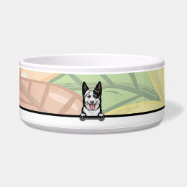 Niedliche Aussie Cattle dog, food and drink Napf