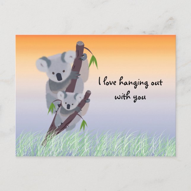 Niedliche australische Koala-Bärn-Postkarte Postkarte (Vorderseite)