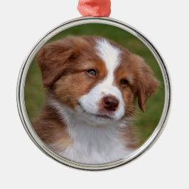 Niedliche australische Shepherd Welppy Keramik Orn Ornament Aus Metall