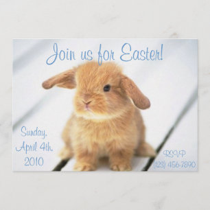 Niedliche Baby-Bunny-Ostereinladungen Einladung