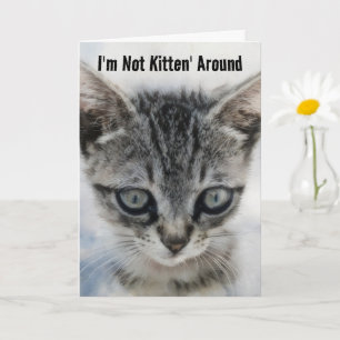 Niedliche Baby Cat Kitten Fun Pub Geburtstagskarte Karte