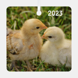 Niedliche Baby-Chicks für Haustiere Ornament Aus Metall