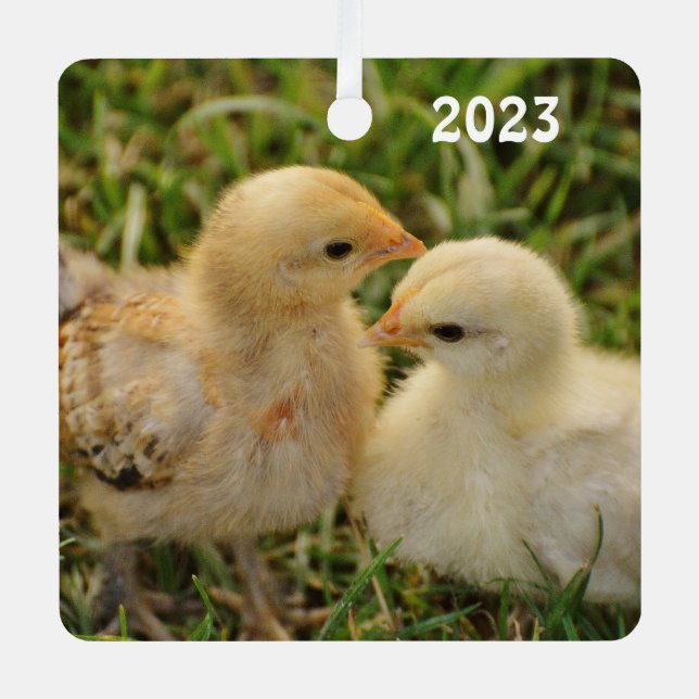 Niedliche Baby-Chicks für Haustiere Ornament Aus Metall (Vorderseite)