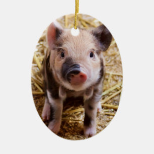 Niedliche Baby-Ferkel-Viehbarnyard-Babys Keramik Ornament
