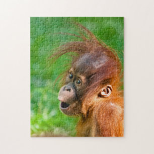 Niedliche Baby-Orang-Utan schaut sich im Staunen a