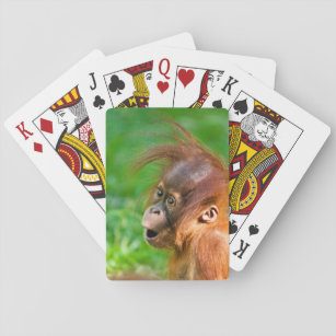 Niedliche Baby-Orang-Utan schaut sich im Staunen a Spielkarten