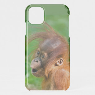 Niedliche Baby-Orang-Utan schaut sich im Staunen a iPhone 11 Hülle