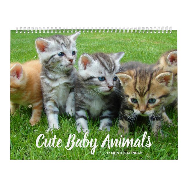 Niedliche Baby-Tiere Kalender (Titelbild)