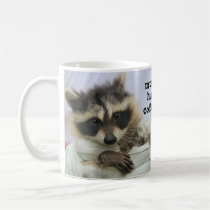 Niedliche Babyraccoon-Kaffee-Tasse, Muss Haz Kaffeetasse