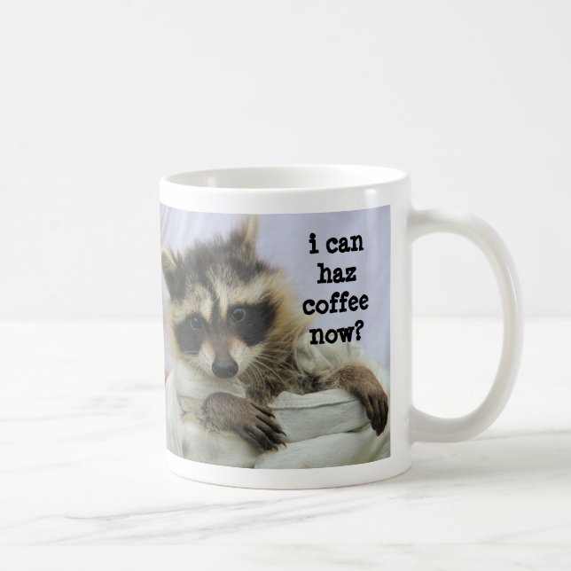 Niedliche Babyraccoon-Tasse, kann ich haz Kaffee Kaffeetasse (Rechts)