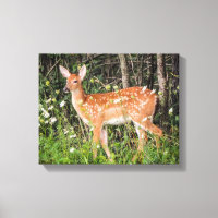 Niedliche Babytiere Fawn Deer Canvas drucken