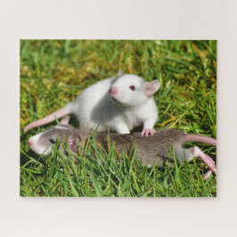 Niedliche Babytorenmatratzen im Gras