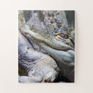 Niedliche Backencreme