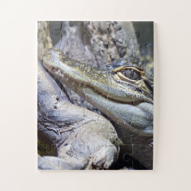 Niedliche Backencreme (Vertikal)