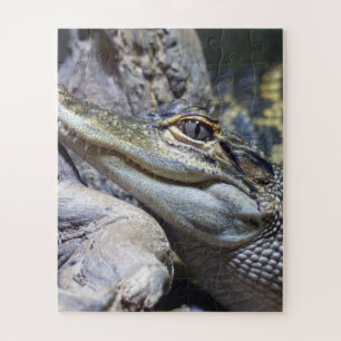 Niedliche Backencreme