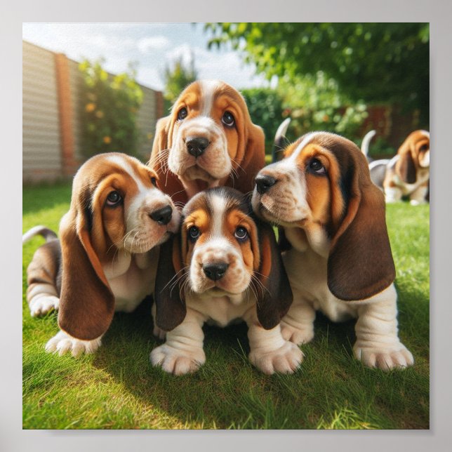 niedliche Basset Hound Welpen Poster (Vorne)